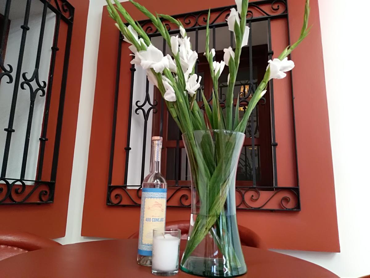 Casa Agave Oaxaca Bed & Breakfast Exterior photo