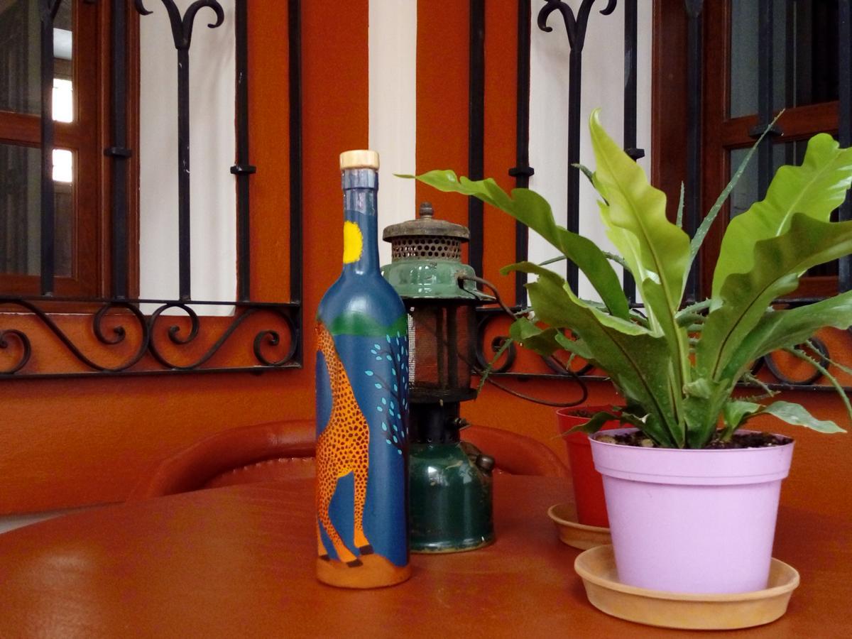 Casa Agave Oaxaca Bed & Breakfast Exterior photo