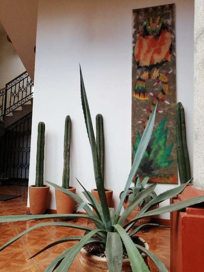 Casa Agave Oaxaca Bed & Breakfast Exterior photo