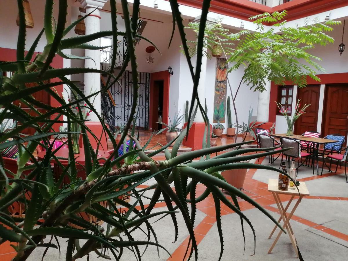 Casa Agave Oaxaca Bed & Breakfast Exterior photo